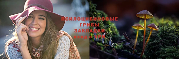 МДПВ Бородино