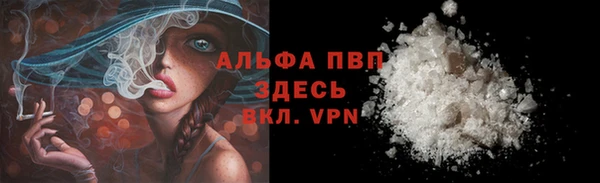 МДПВ Бородино