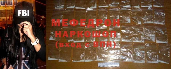 МДПВ Бородино