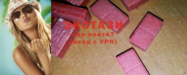 МДПВ Бородино