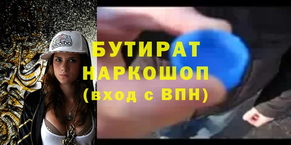 МДПВ Бородино