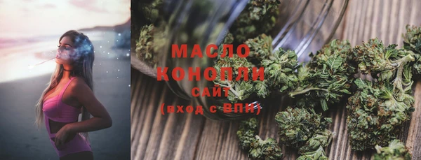 МДПВ Бородино