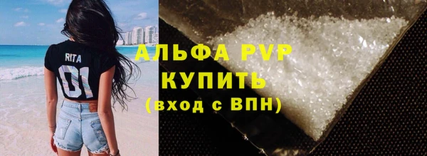 МДПВ Бородино