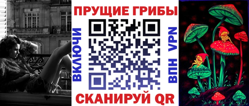 MEGA ТОР  купить   Грозный  Галлюциногенные грибы Cubensis 